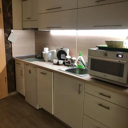 公寓 Velence Spa Apartman