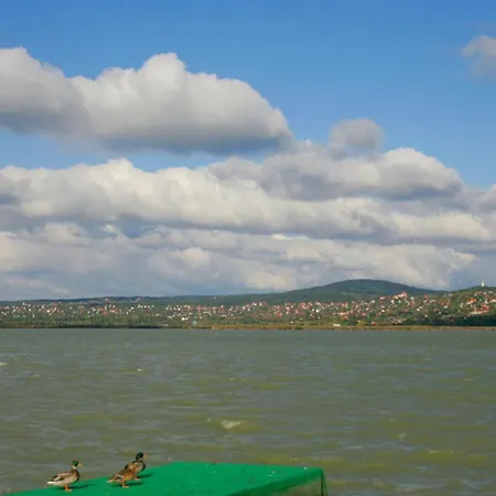 Tóparti Wellness Apartman Delux *